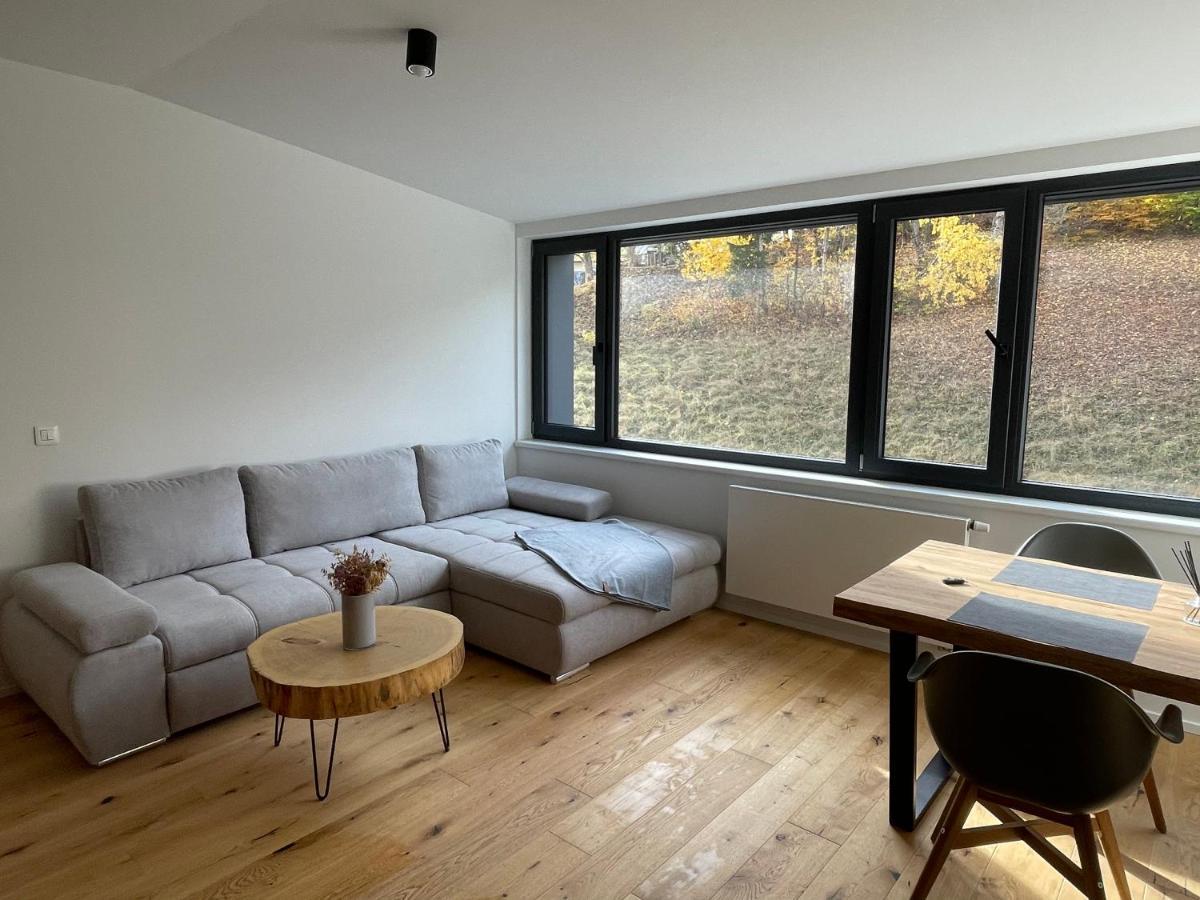 Ski&Bike Horsky Apartman 502 Janske Lazne Ngoại thất bức ảnh